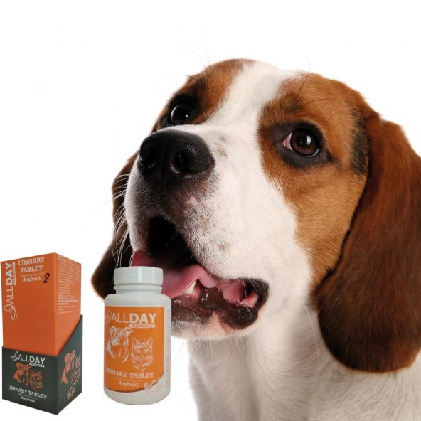 AllDay 2 Urinary Kedi Ve köpekler İçin Tablet 75 gr - 3