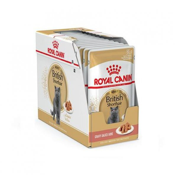 Royal Canin British Shorthair Konserve 85 X 12 Adet Konserve