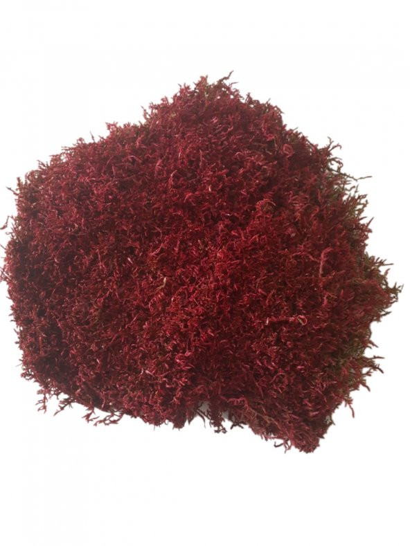 FLORALMOSS Kırmızı Boyalı Doğal Kara Yosunu 1 KG.