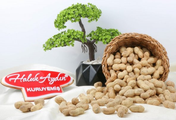 Haluk Aydın Kuruyemiş Çiğ Kabuklu Fıstık 500 G - 2
