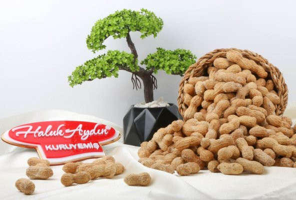 Haluk Aydın Kuruyemiş Kabuklu Tuzlu Fıstık 500 G - 2