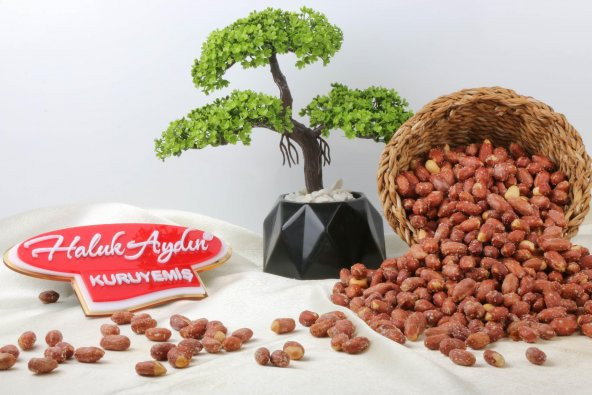 Haluk Aydın Kuruyemiş Tuzlu Fıstık İçi 1 KG - 2