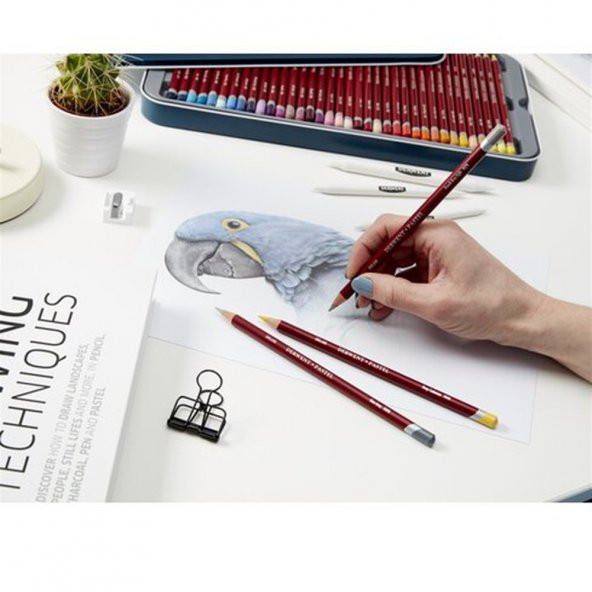 Derwent : Pastel Pencils (Pastel Kuru Boya Kalem) - Resim 2