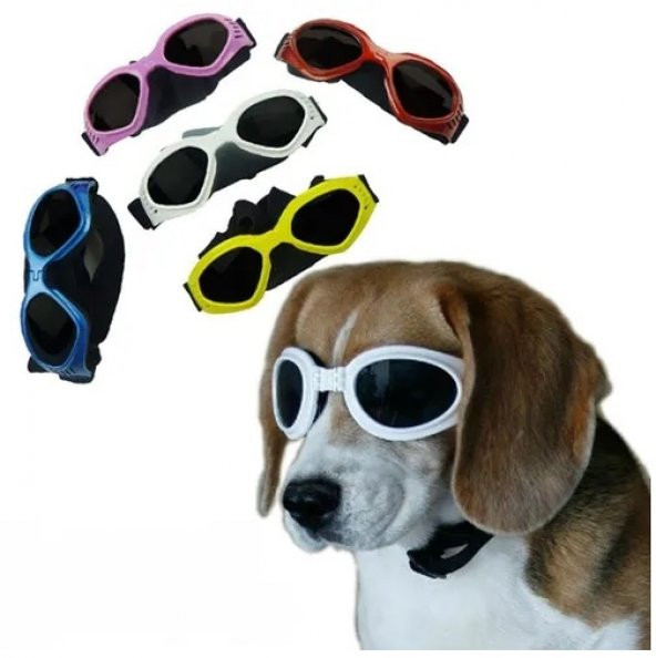 Maskot Pet Ayarlanabilir Katlanabilir Köpek Güneş Gözlüğü