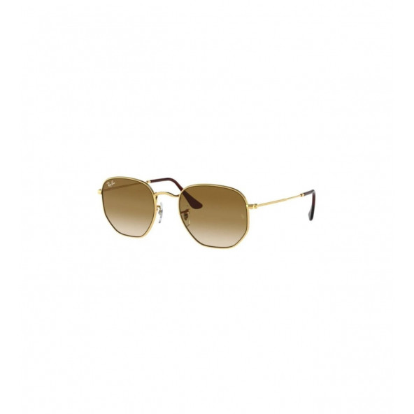 Ray-ban 3548 001/51 51 Kahverengi Unisex Güneş Gözlüğü