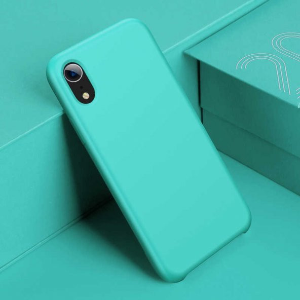 iPhone XR 6.1 Baseus Lsr Back Case İçi Kadife Kılıf - 6