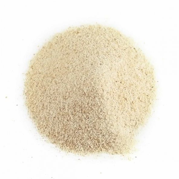 Botaniksan Soğan Tozu 70gr - 2