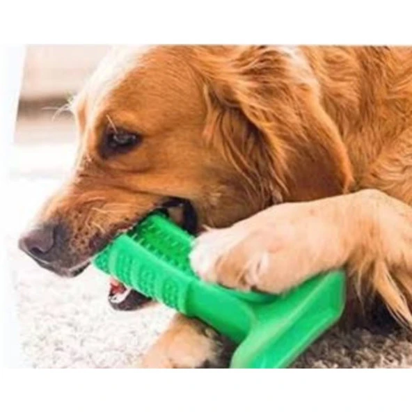 Köpek Diş Fırçası Isırma Aparatı dişlik kaşıma oyuncağı KüçükBoy