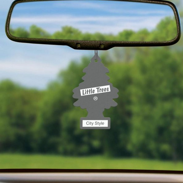Little Trees City Style Baharat Aromalı Oto Kokusu 24 Adet - 3
