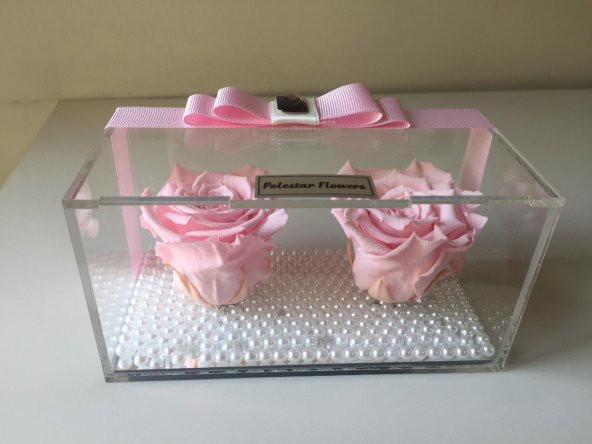 Nişan Gülü-İkili Pembe solmayan gül