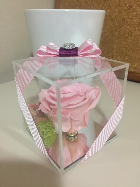 Cam Pleksi İçinde Pembe Solmayan Gül - 3