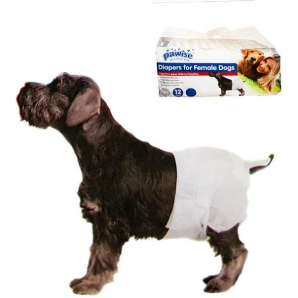 Pawise Dişi Köpek Alt Bağlama Bezi 14-20 kg XL