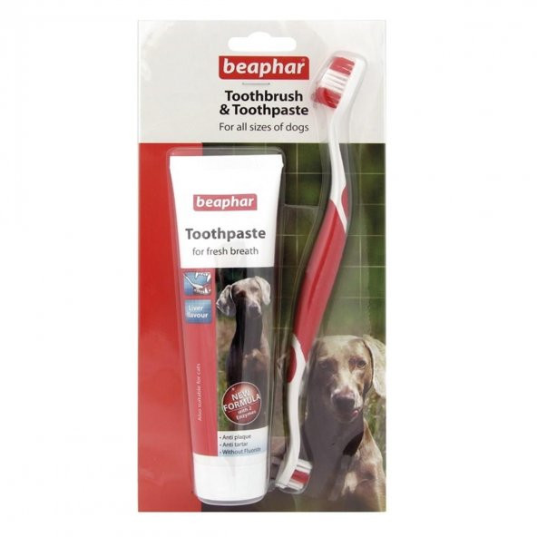 Beaphar Kedi Köpek Diş Fırçası ve Diş Macunu Seti
