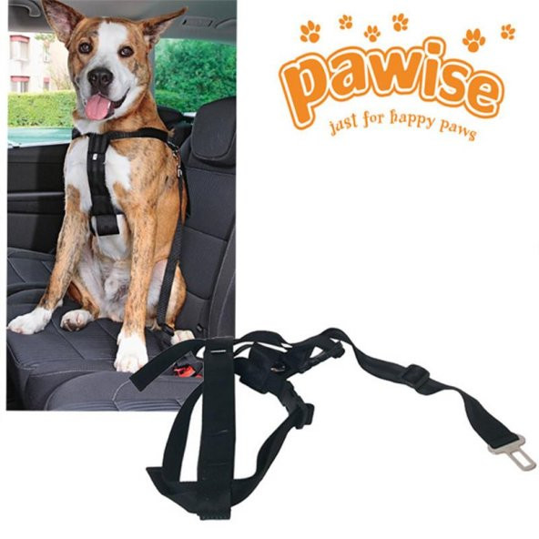 Pawise Emnyet Kemer Tokalı Tasma L 70-90 Cm