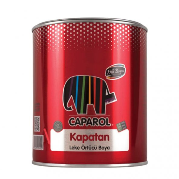 Filli Boya Kapatan Leke Örtücü Boya Mat Doku 0,75 Lt /1 Kg