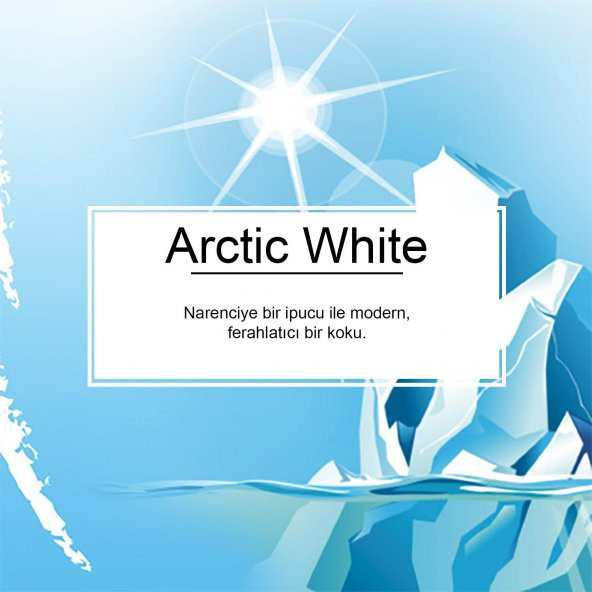 Little Trees Arctic White Ferahlığı Aromalı Oto Kokusu 6 Adet - 3