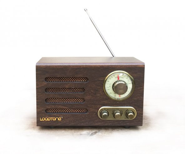 Looptone DSY-HR08 Retro Radyo Ceviz - 2