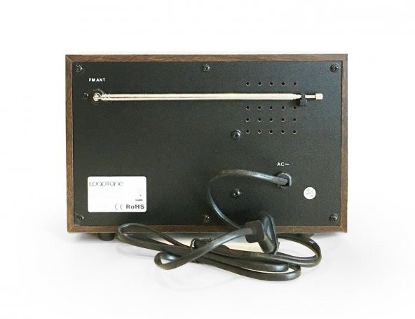 Looptone DSY-HR08 Retro Radyo Ceviz - 5