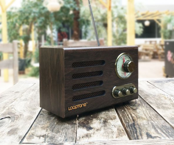 Looptone DSY-HR08 Retro Radyo Ceviz - 6