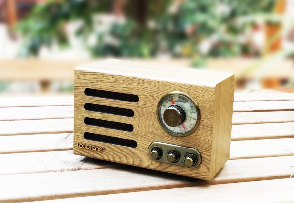 Looptone DSY-HR08 Retro Radyo Espresso - 6