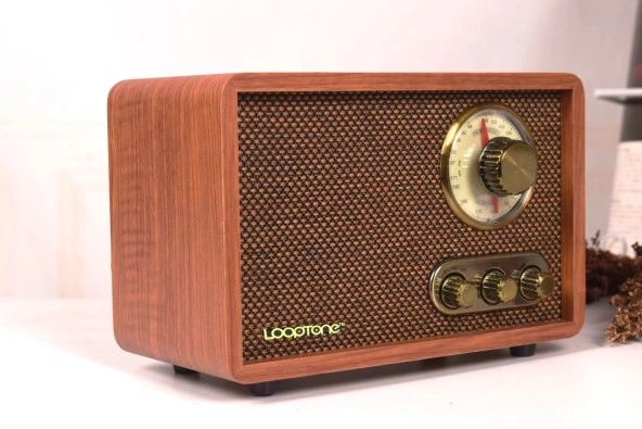 Looptone DSY-R08 Retro Radyo Ceviz - 3