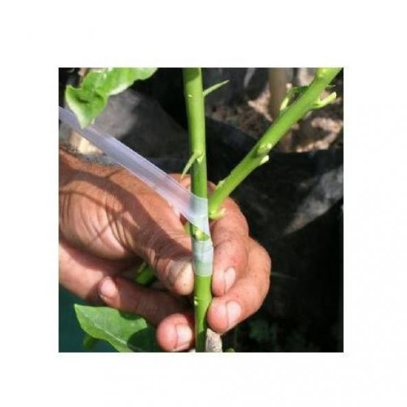 GMT Özel Kutulu Silikonlu Aşı Bandı 3 Kutu - 5