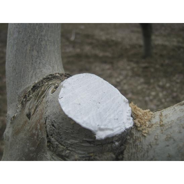 Gmt Pro-Jell Aşı ve Budama Macunu 250 gr - 4