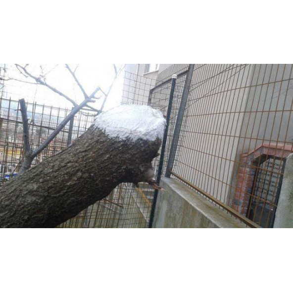 Gmt Pro-Jell Aşı ve Budama Macunu 250 gr - 5