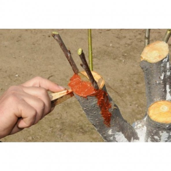 GMT EKS Aşı ve Budama Macunu 500 Gr 2 Adet - Resim 3