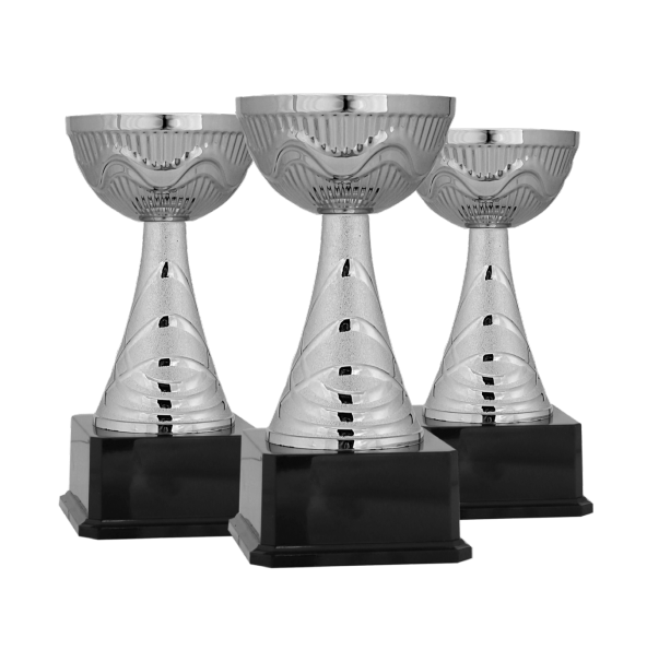 Başarı Derece Ödül Kupası - K52 Metal Kupa 24 cm - Baskılı -Gümüş