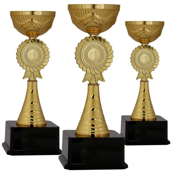 Başarı Derece Ödül Kupası - K2 Metal Kupa 34 cm - Baskılı