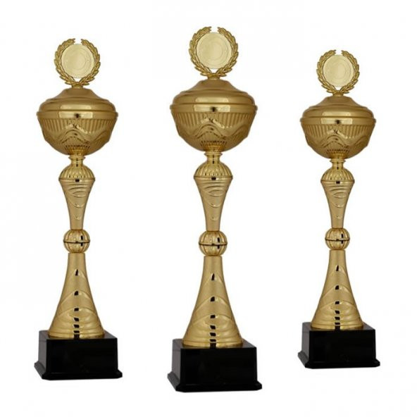 Başarı Derece Ödül Kupası - K130 Metal Kupa 50 cm - Baskılı