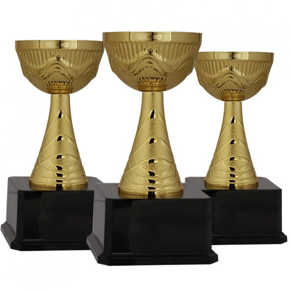 Başarı Derece Ödül Kupası - K50 Metal Kupa 24 cm - Baskılı