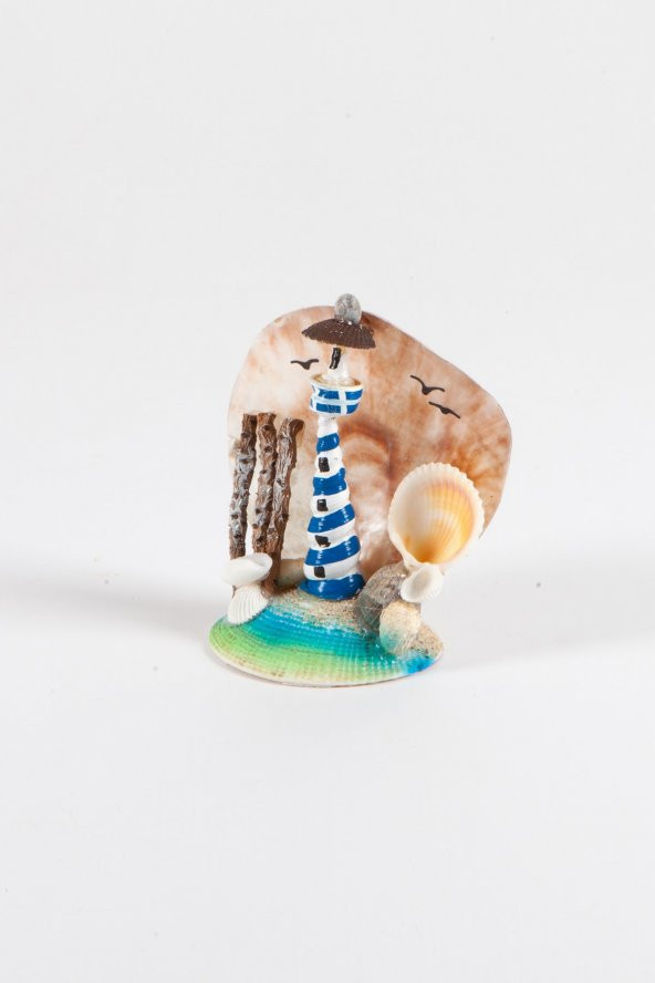 Doğal Deniz Kabukları Mavi Deniz Feneri Biblo - 4