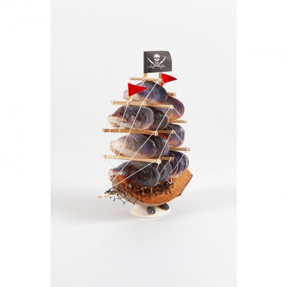 Coco Korsan Gemisi Violet Oyster Kabuklu - 2