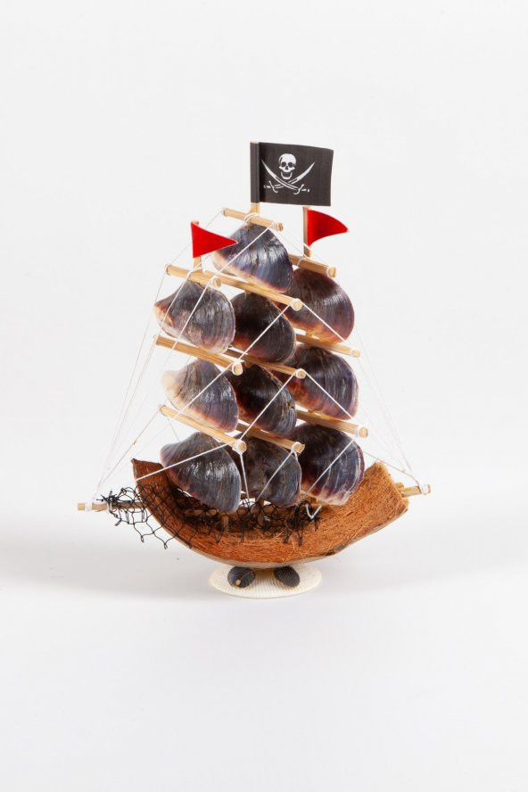 Coco Korsan Gemisi Violet Oyster Kabuklu - 3