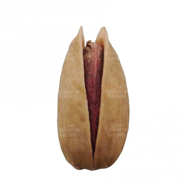 Antep Fıstığı 1 Kg. - 2