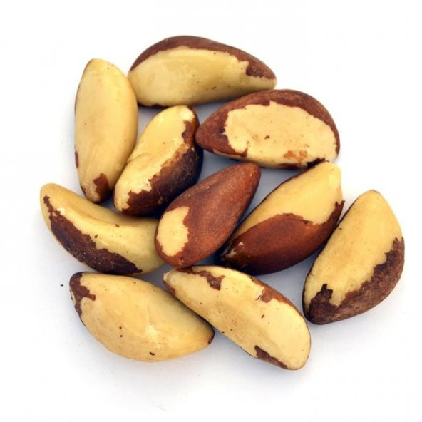 Brezilya Cevizi Fındığı Çerez Iri Boy Yeni Mahsül 100 gr - 4