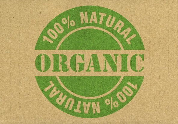 Brezilya Cevizi Fındığı Çerez Iri Boy Yeni Mahsül 100 gr - 10