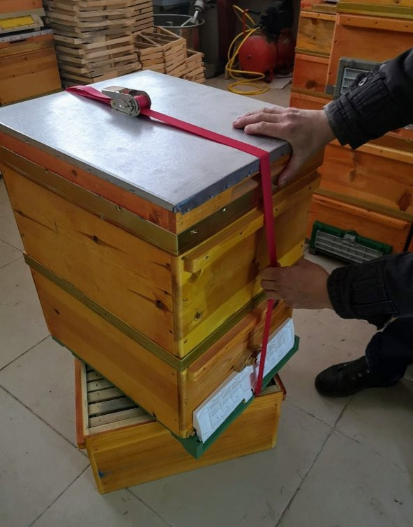 SPANZET MİNİ CIRCIRLI YUK GERDİRME SONSUZ SPANZET / KOVAN / MOBİLYA / KARGO / OTO BAGAJ / GERGİ / ARI MALZEMESİ - Resim 3