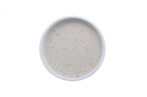 ÖZKALELİ ZİLE ÜZÜM PEKMEZİ 250 GR - 2
