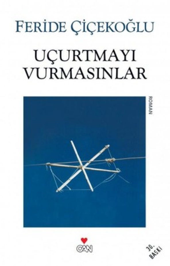 Uçurtmayı Vurmasınlar - Feride Çiçekoğlu - Can Yayınları - 1
