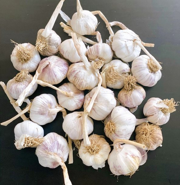 Yerli sarımsak Ula Sarımsağı 500 g