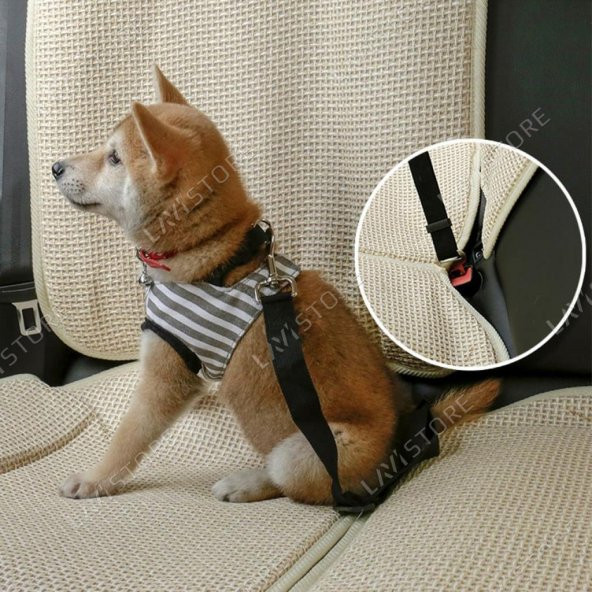 Kedi Köpek Araç Emniyet Kemeri Tasması Ayarlanabilir Araba Evcil Hayvan Oto Tasması Siyah - 6