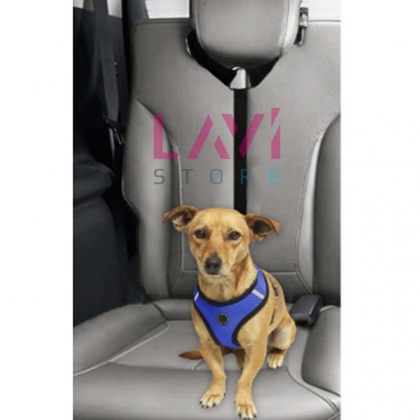 Kedi Köpek Araç Emniyet Kemeri Gezdirme Tasması Ayarlanabilir Araba Oto Tasma Siyah - 5