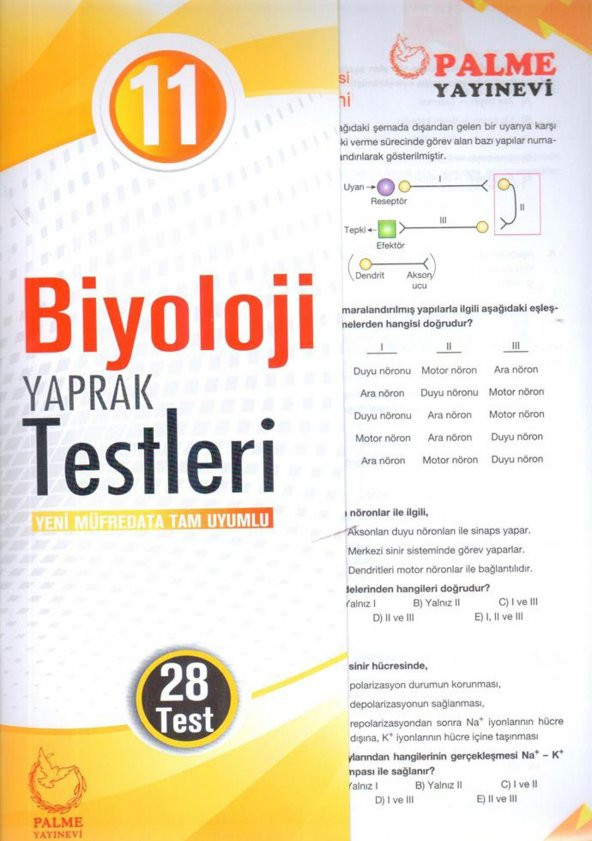 Palme 11. Sınıf Biyoloji Yaprak Testleri