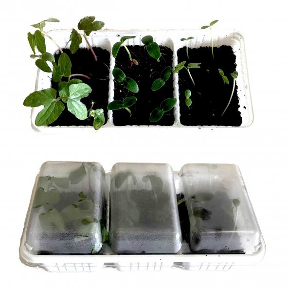 Çiçek Yetiştirme Kiti (Tip7) - 2