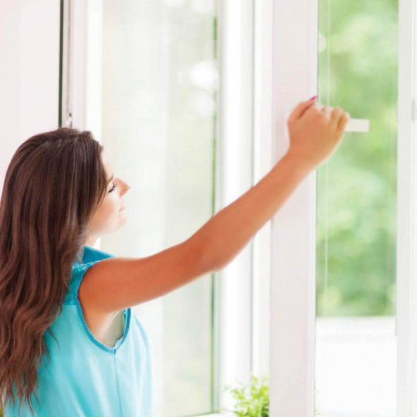 Greenleaves 2 li Paket Pencere Sinekliği 100x150 cm - 5