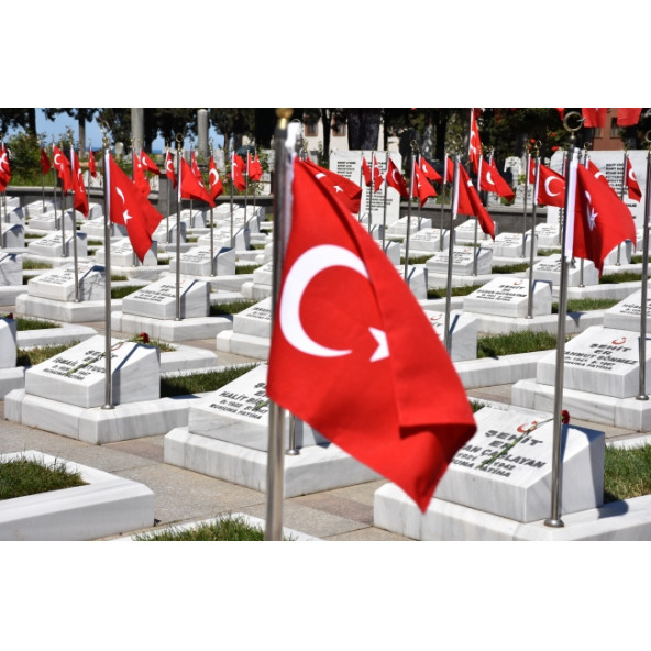 Şehitlik Direği Paslanmaz - Resim 2