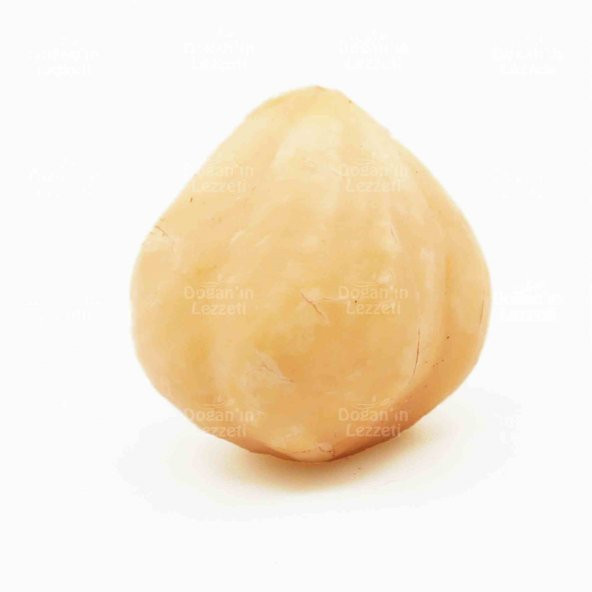 Fındık İçi 1 Kg. - 2